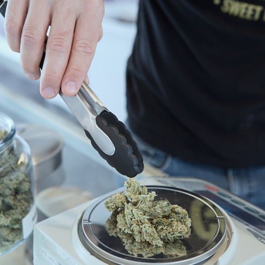 HHC: El Cannabinoide Ideal para el Bienestar Diario