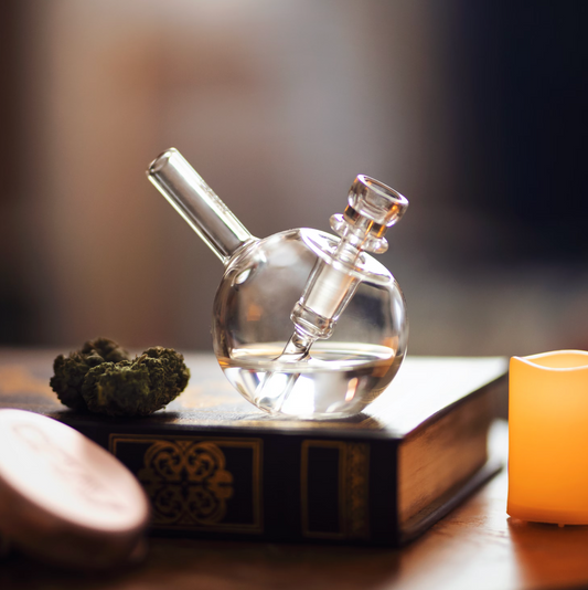 CBD: El Cannabinoide Más Popular para el Bienestar Diario