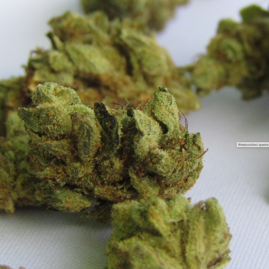 THC-JD: El Cannabinoide del Futuro