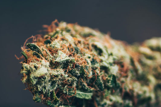 Beneficios Mentales del CBD: Cómo el CBD Apoya la Salud Mental y el Bienestar Emocional