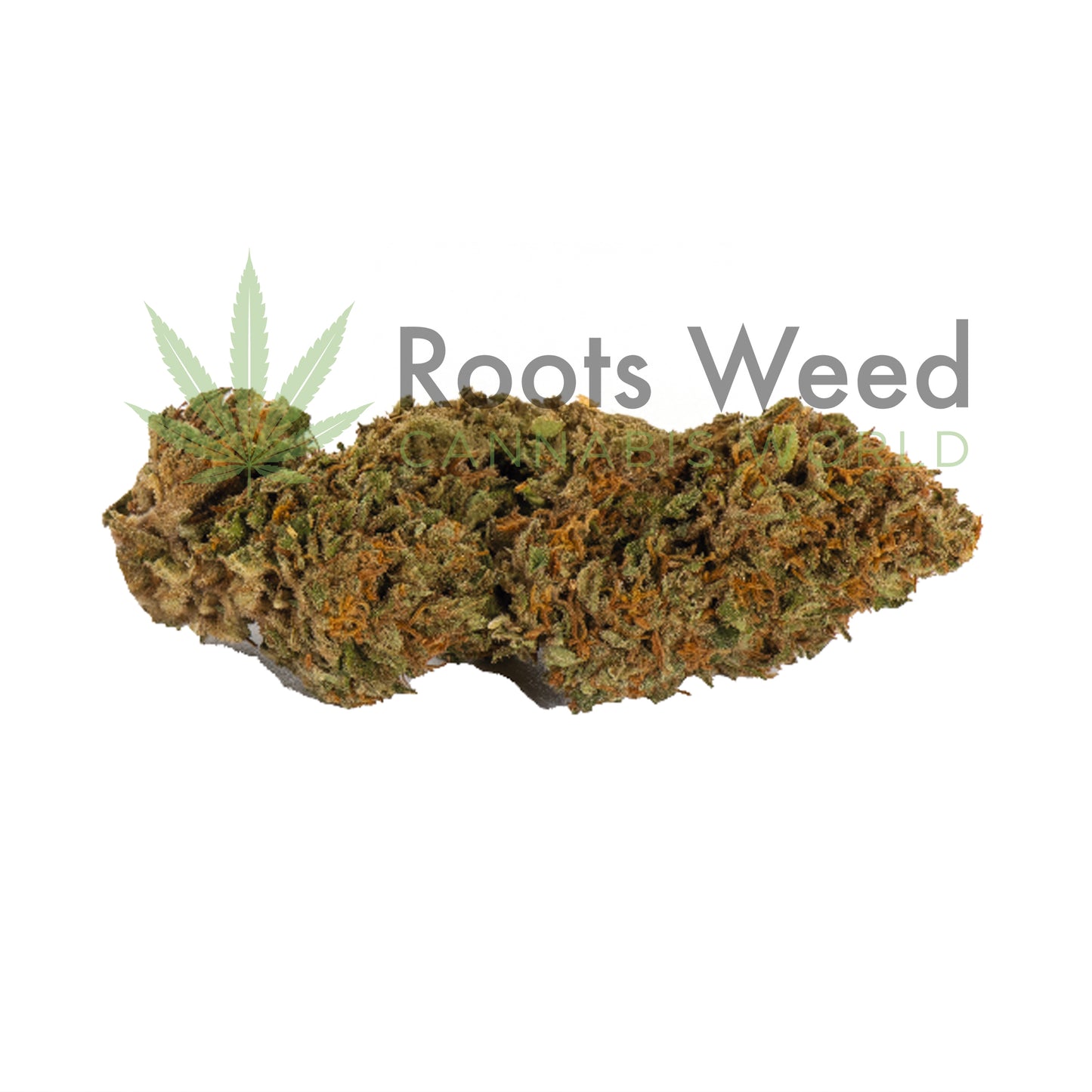 CHERRY PIE XL CBD < 35% | Greenhouse Premium