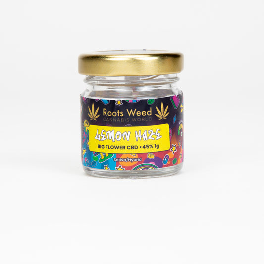 LEMON HAZE XL CBD < 35% GREEN HOUSE