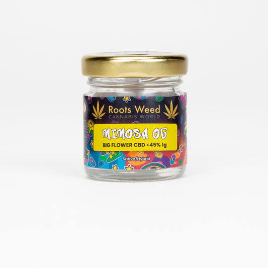 MIMOSA OG XL CBD < 35% GREEN HOUSE