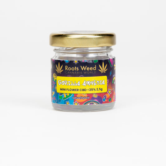 MINI GORILLA AMNESIA CBD < 35%