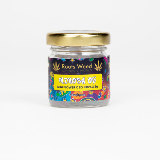 MINI MIMOSA OG CBD < 35%
