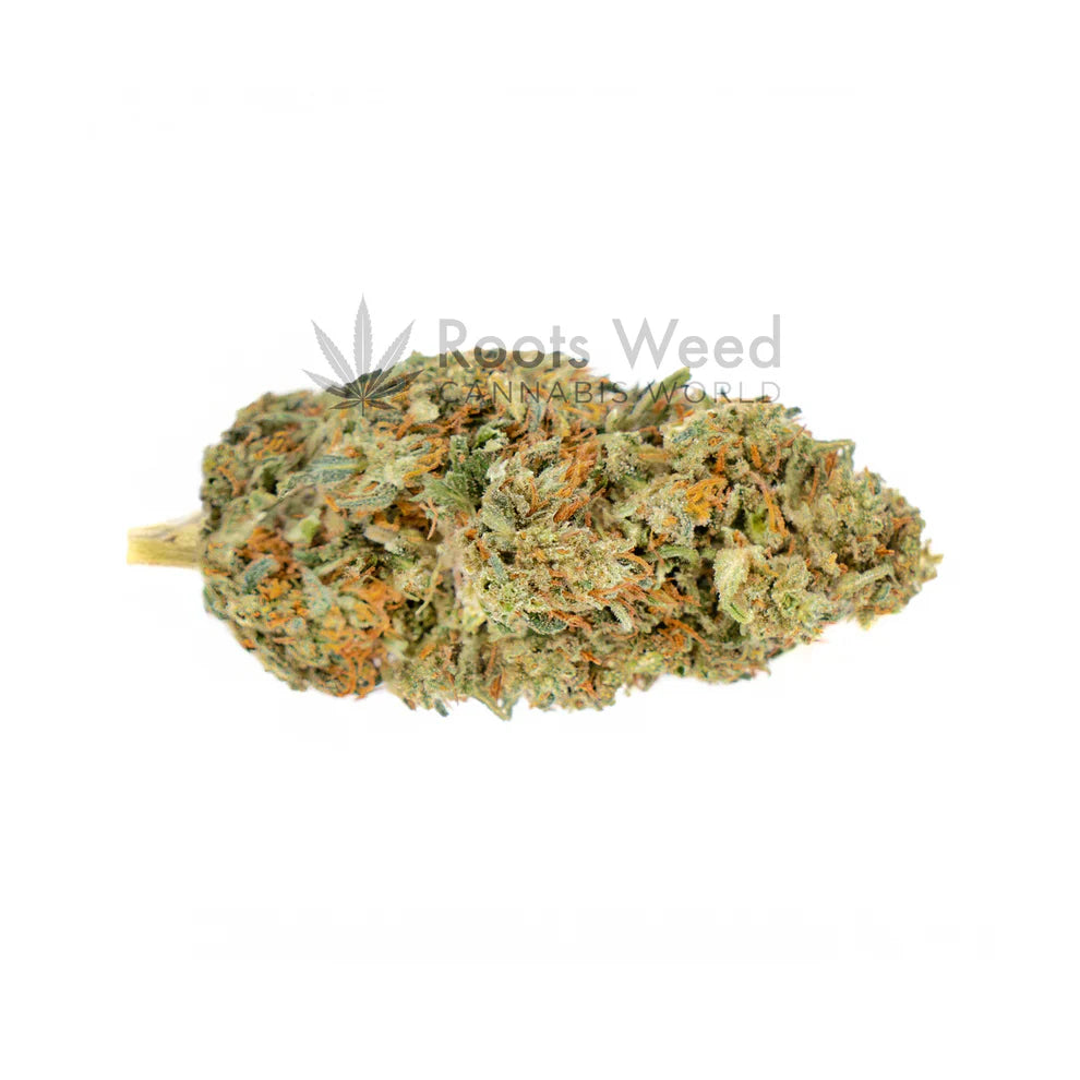 50 G ANIMAL OG XL THC-JD < 70 % GREEN HOUSE