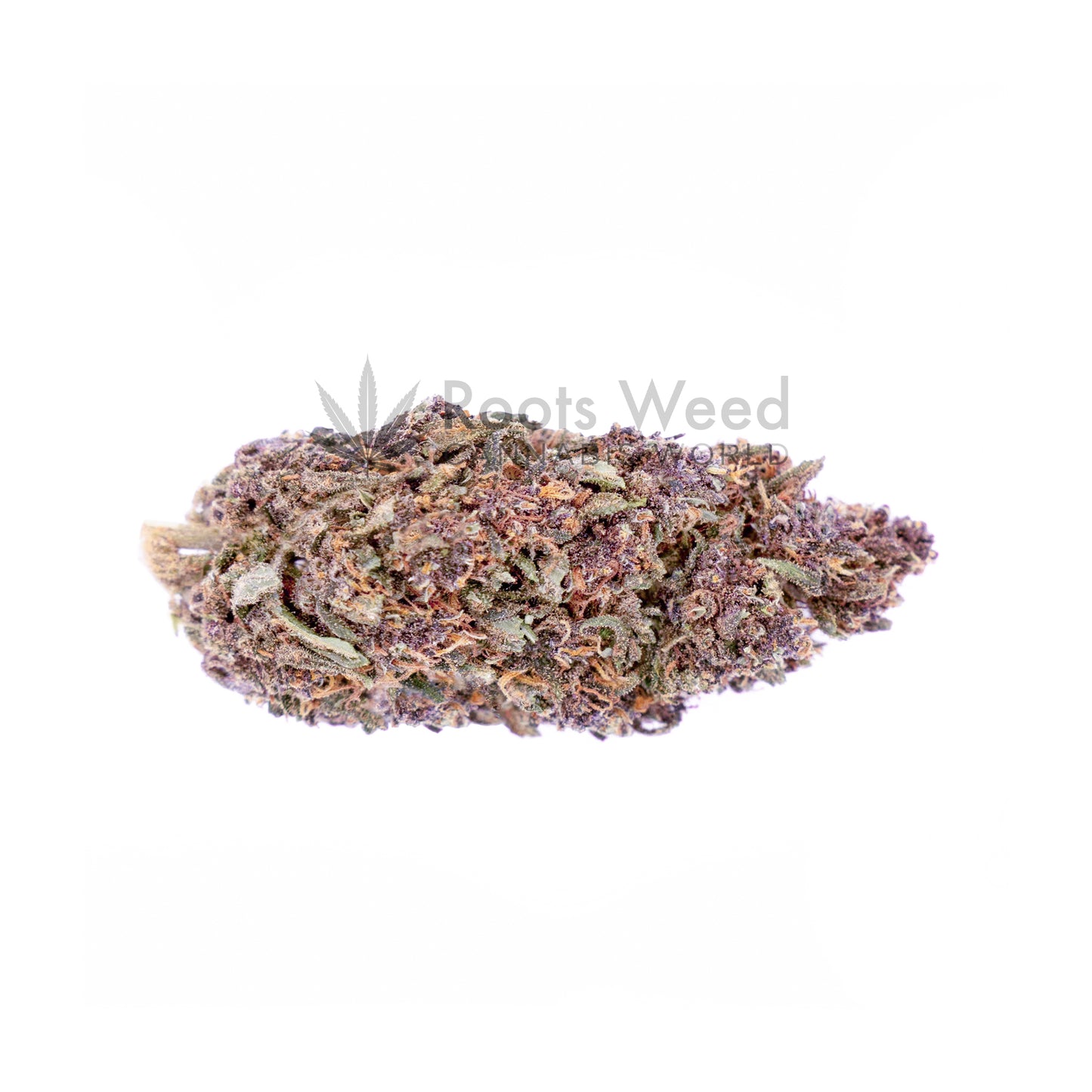 10 G PURPLE HAZE THC-JD < 70% INDOOR