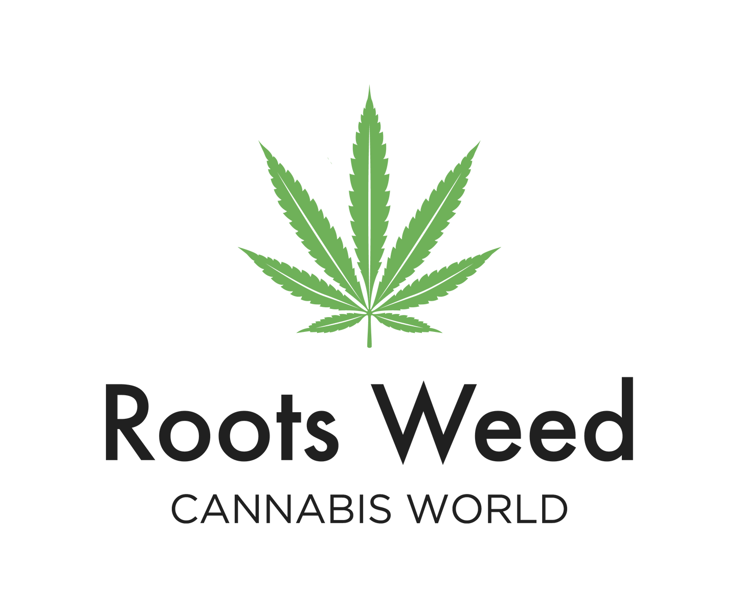SEEDS CBD PURPLE AMNESIA FEMINIZED AUTO
