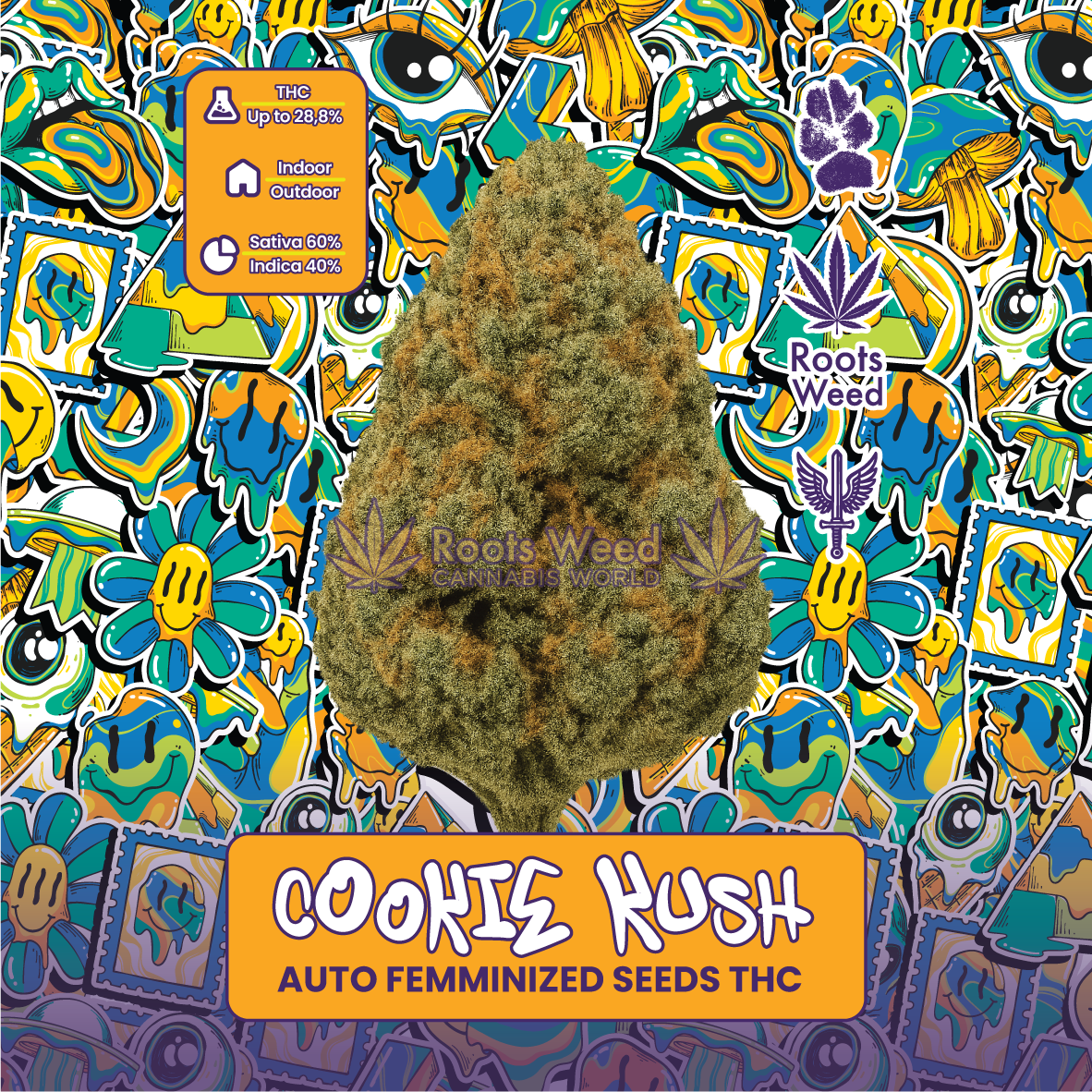 SEEDS THC COOKIE KUSH AUTO FEMINIZED