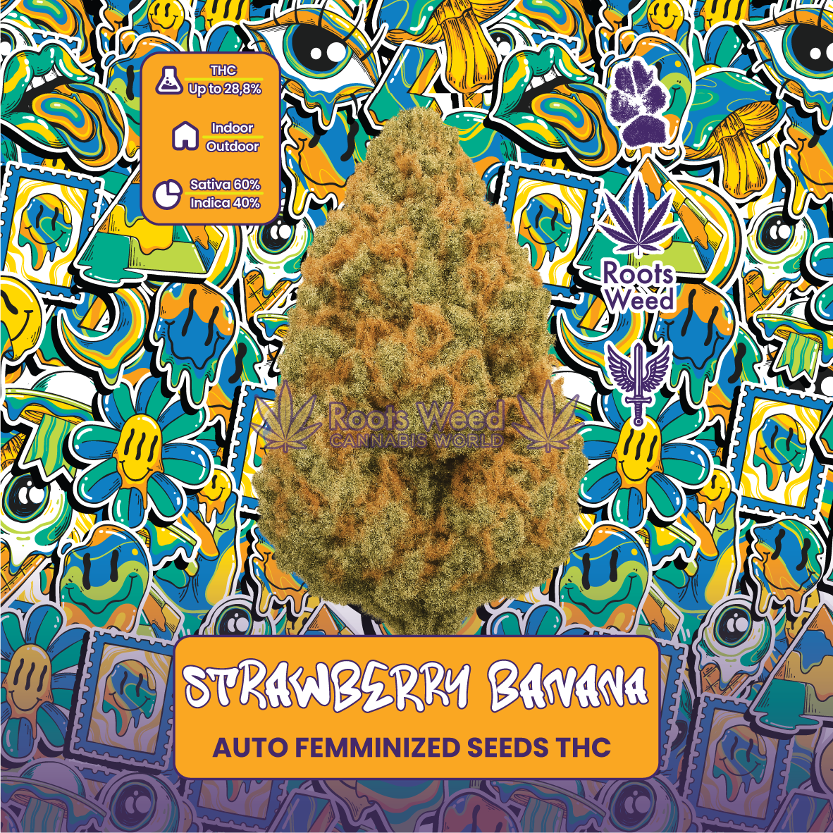 SEEDS THC STRAWBERRY BANANA AUTO FEMINIZED