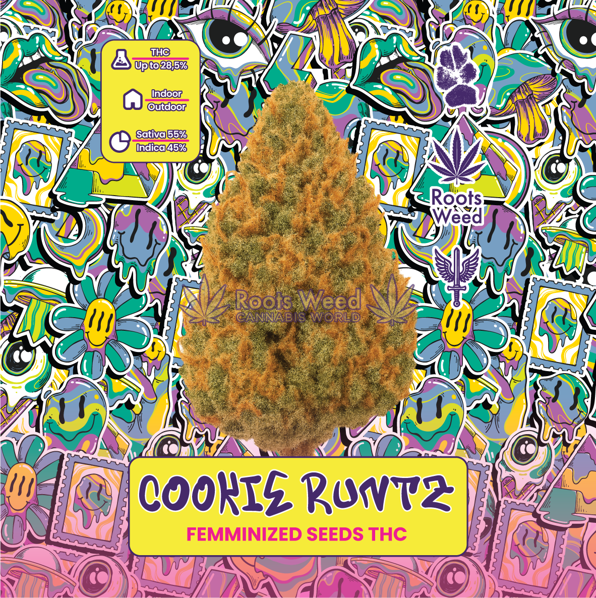 SEEDS THC COOKIE RUNTZ FEMINIZED