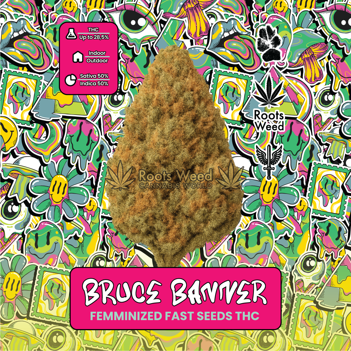 SEEDS THC BRUCE BANNER FEMINIZED FAST
