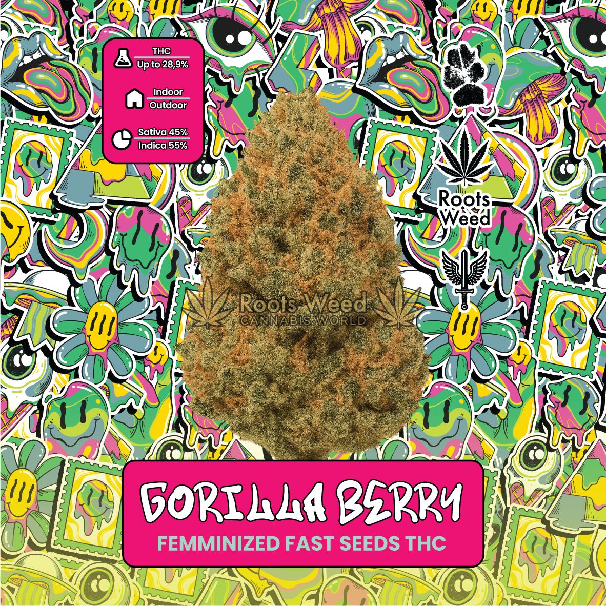 SEEDS THC GORILLA BERRY FEMINIZED FAST