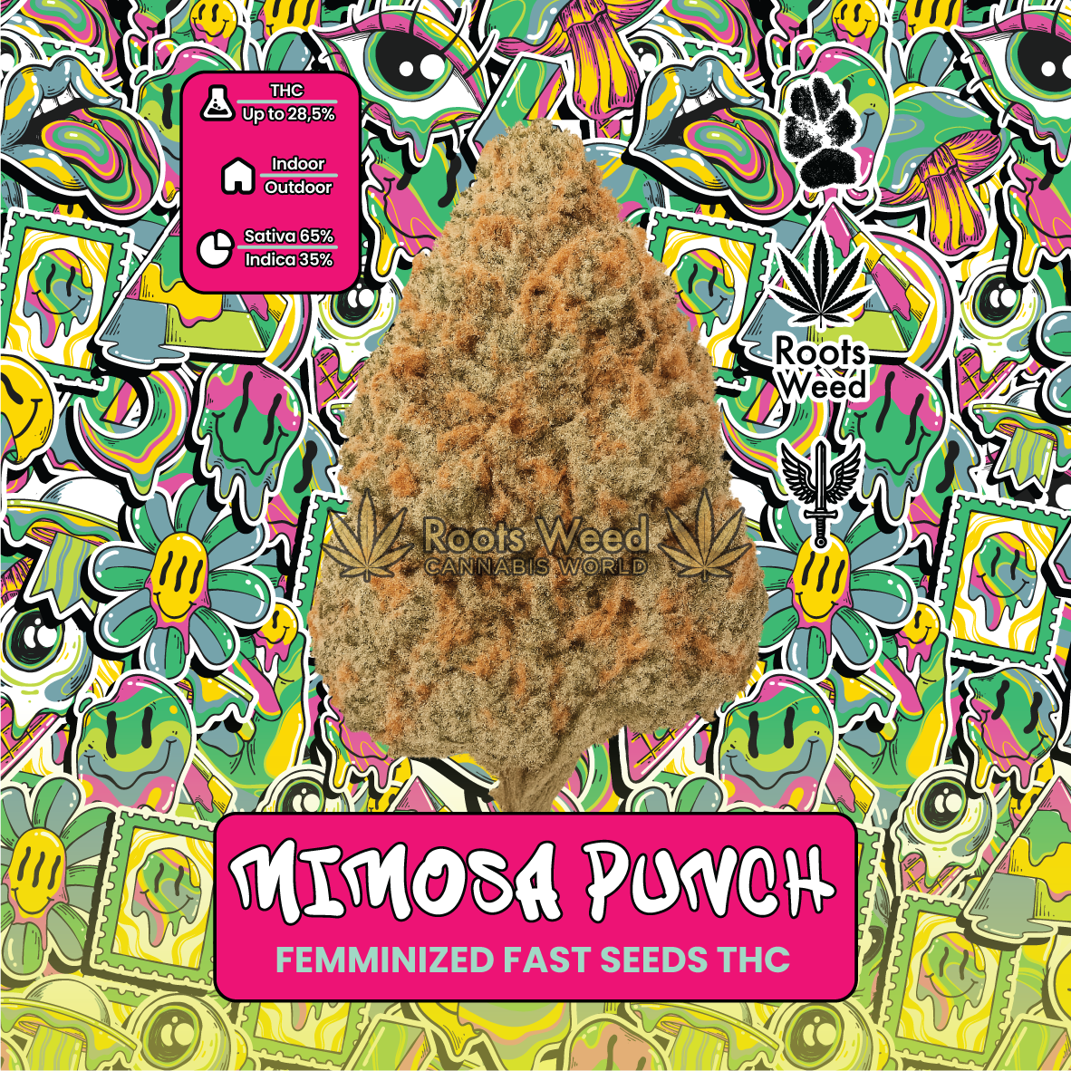 SEEDS THC MIMOSA PUNCH FEMINIZED FAST