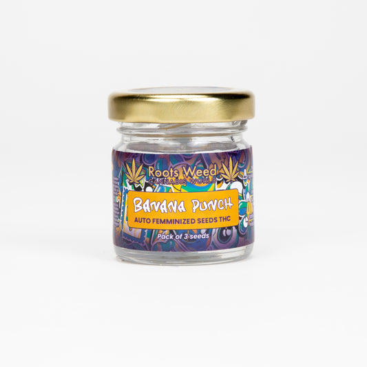 SEEDS THC BANANA PUNCH AUTO FEMMINIZED