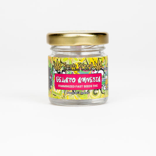 SEEDS THC GELATO AMNESIA FEMINIZED FAST