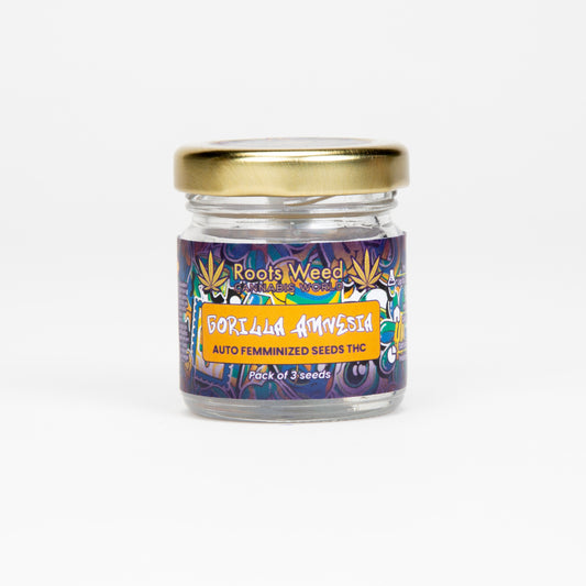 SEEDS THC GORILLA AMNESIA AUTO FEMINIZED