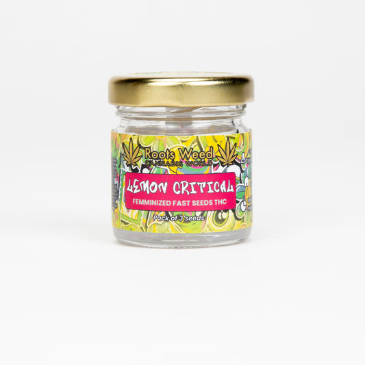 SEEDS THC LEMON CRITICAL FEMINIZED FAST