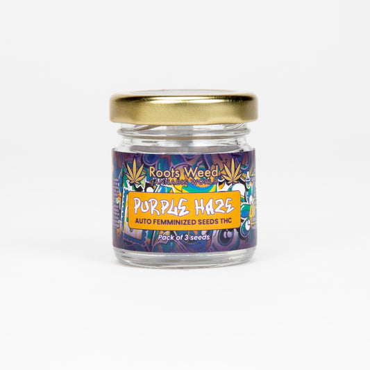 SEEDS THC PURPLE HAZE AUTO FEMMINIZED