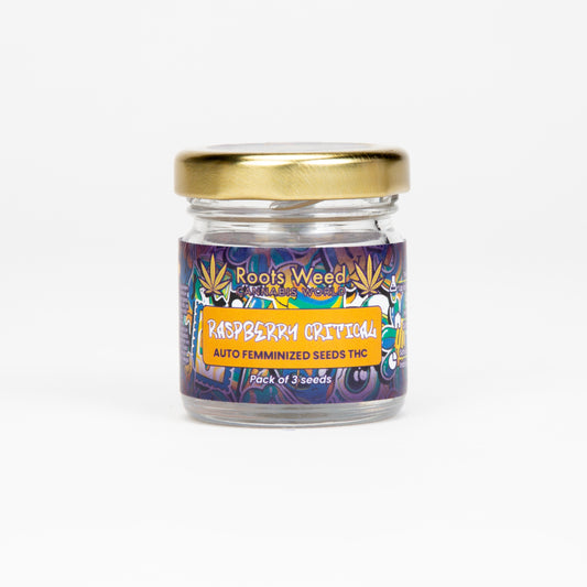 SEEDS THC RASPBERRY CRITICAL AUTO FEMINIZED