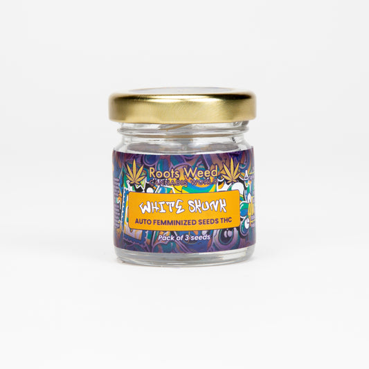 SEEDS THC WATERMELON KUSH AUTO FEMMINIZED