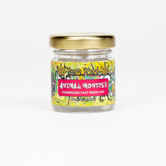 SEEDS THC ZKITTLEZ CANDY FEMINIZED FAST