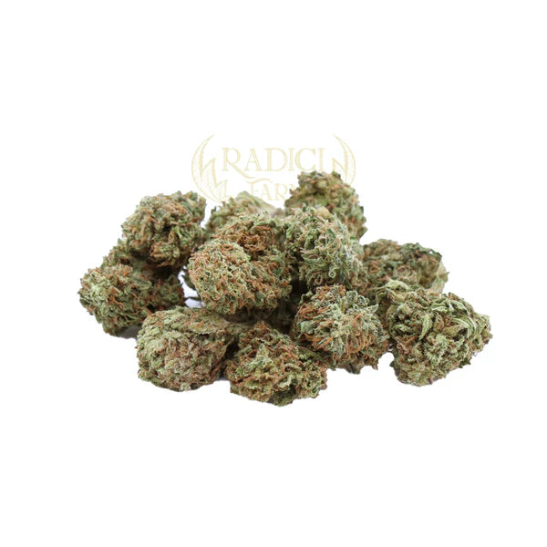 1 KG MINI AMNESIA KUSH THC-JD < 70%