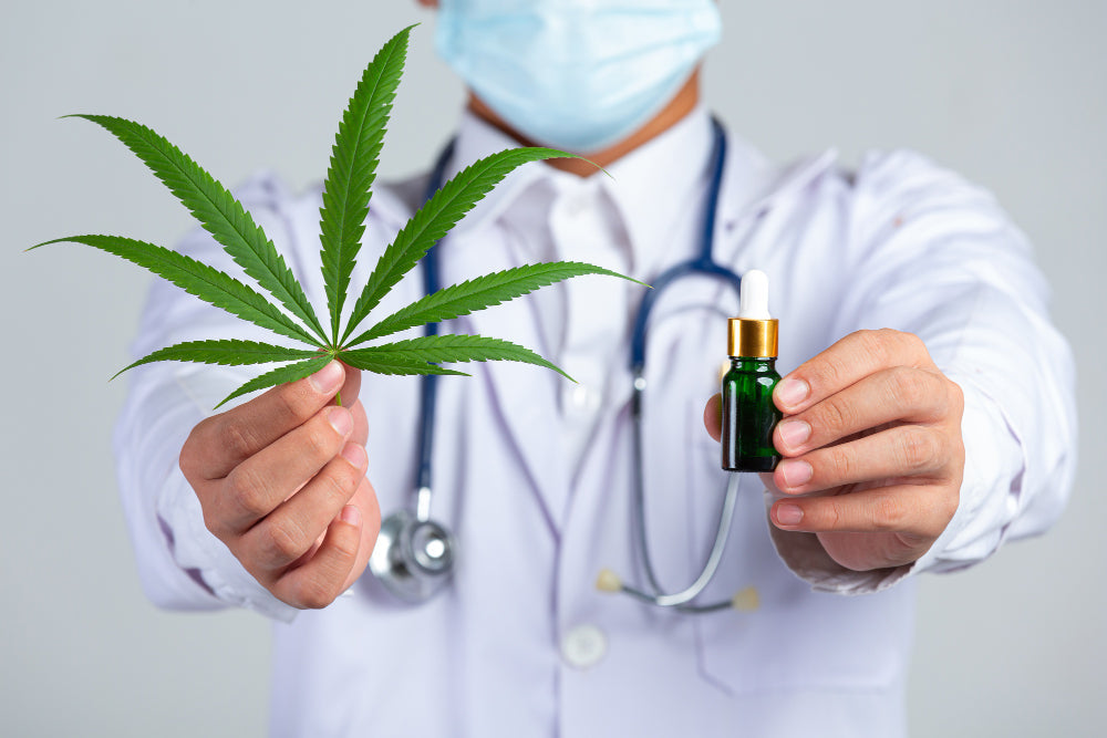 Cannabis Medicinal en España: Séptima Potencia Mundial en 2025