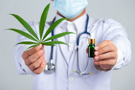 Cannabis Medicinal en España: Séptima Potencia Mundial en 2025