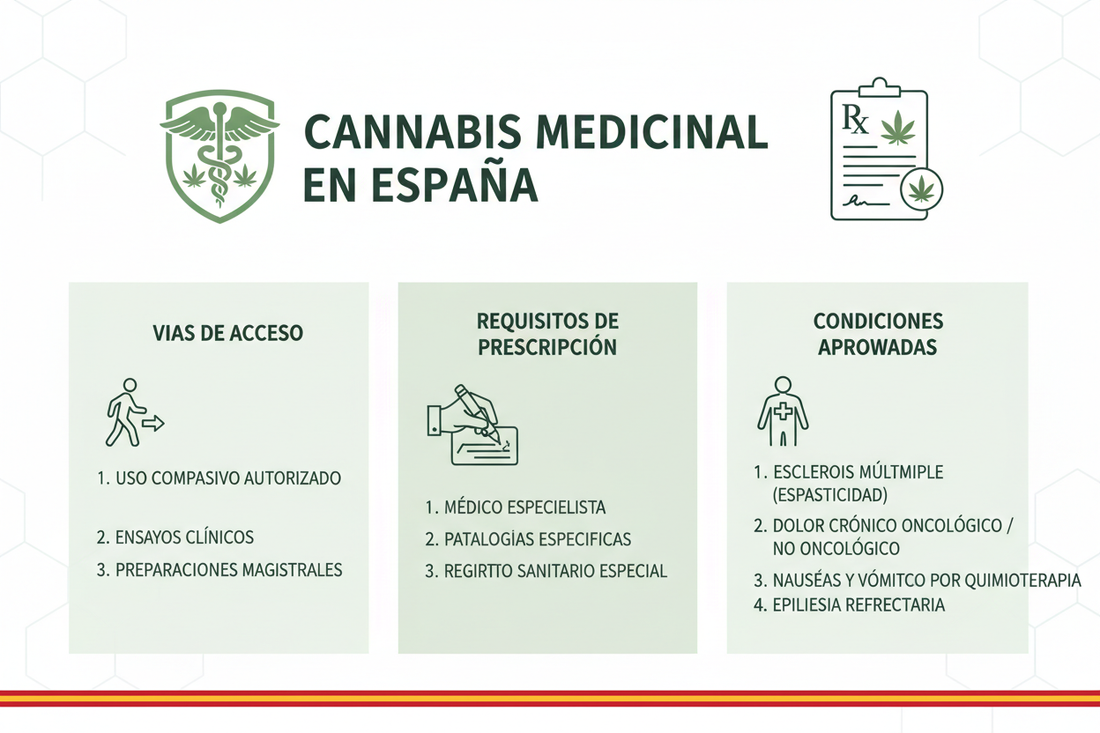 Cannabis Medicinal en España: Acceso, Recetas y Condiciones de Tratamiento
