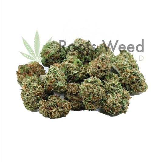 MINI AMNESIA HAZE CBD < 35%