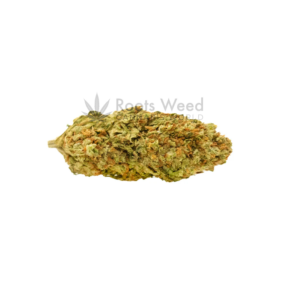 AMNESIA KUSH THC-JD <70%