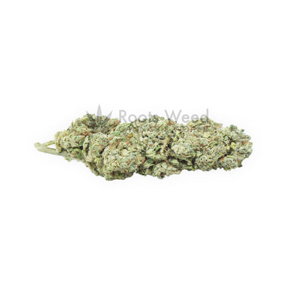 APPLE CAKE XL CBD
