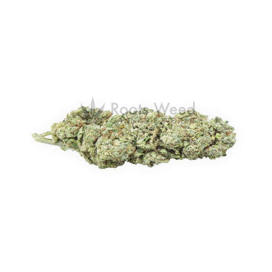 APPLE CAKE XL CBD