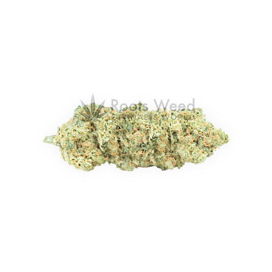 GORILLA AMNESIA XL CBD < 35% INDOOR CALI HYDROPONICS
