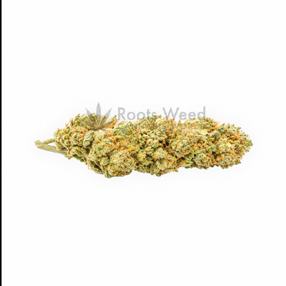 TORTA DI MELA XL CBD < 35% IDROPONICA INDOOR