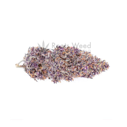 PURPLE HAZE THC-JD < 70% INDOOR