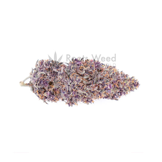 PURPLE HAZE THC-JD < 70% INDOOR