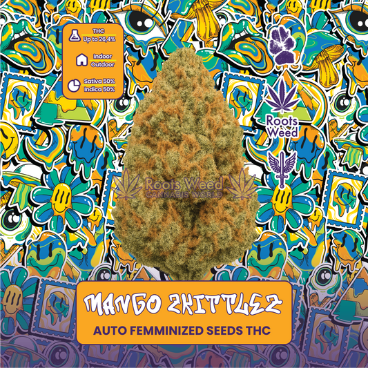 SEEDS THC MANGO ZKITTLEZ AUTO FEMMINIZED