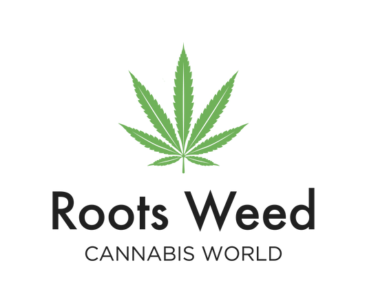 SEEDS CBD PURPLE AMNESIA FEMINIZED AUTO