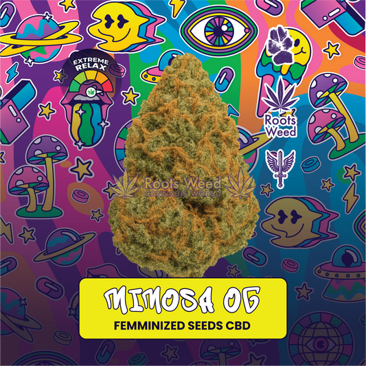 SEEDS CBD MIMOSA OG FEMINIZED