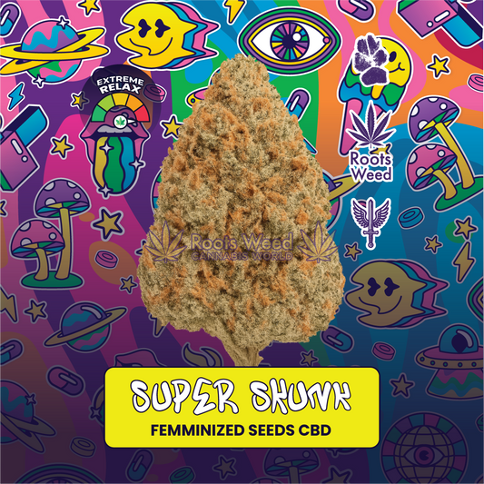 SEEDS CBD SUPER SKUNK FEMINIZED