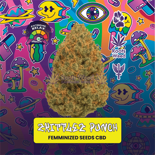 SEEDS CBD ZKITTLEZ PUNCH FEMINIZED