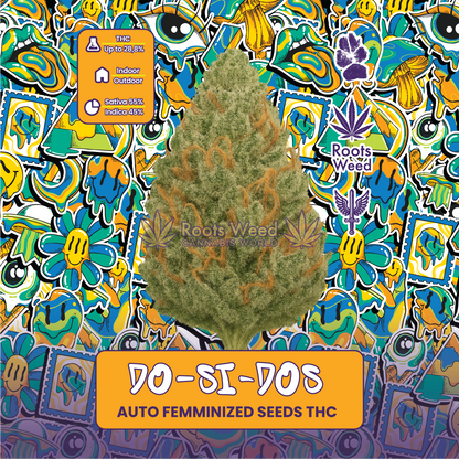 SEEDS THC DO-SI-DOS AUTO FEMMINIZED