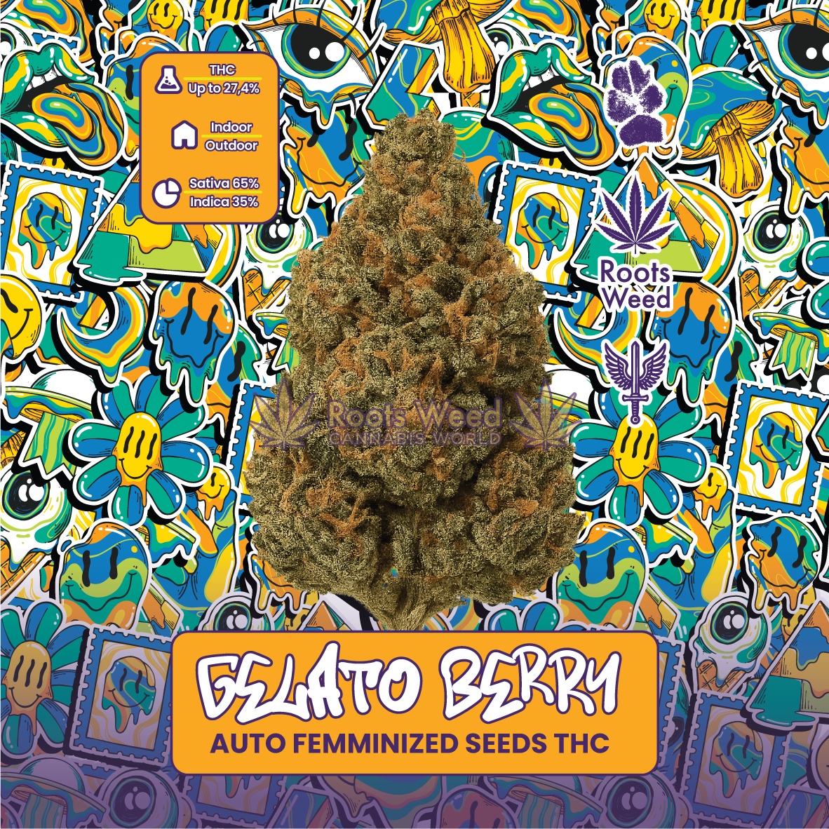 SEEDS THC GELATO BERRY AUTO FEMINIZED