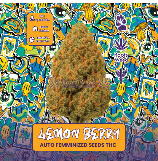 SEEDS THC LEMON BERRY AUTO FEMMINIZED