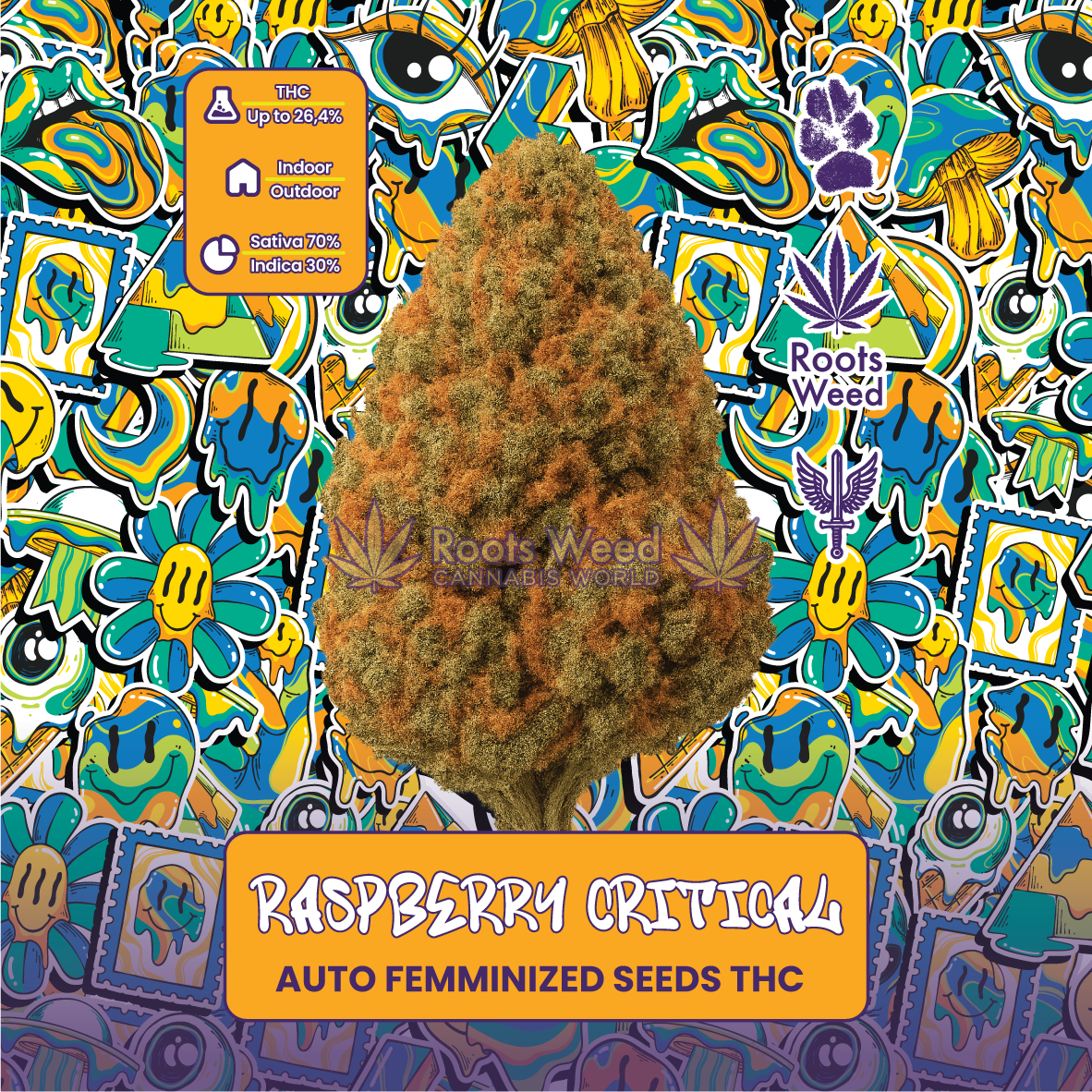 SEEDS THC RASPBERRY CRITICAL AUTO FEMINIZED