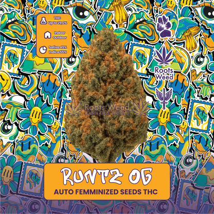 SEEDS THC RUNTZ OG AUTO FEMINIZED