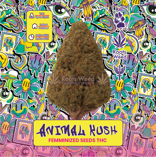 SEEDS THC ANIMAL KUSH FEMINIZED