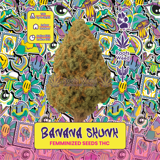 SEEDS THC BANANA SKUNK FEMMINIZED